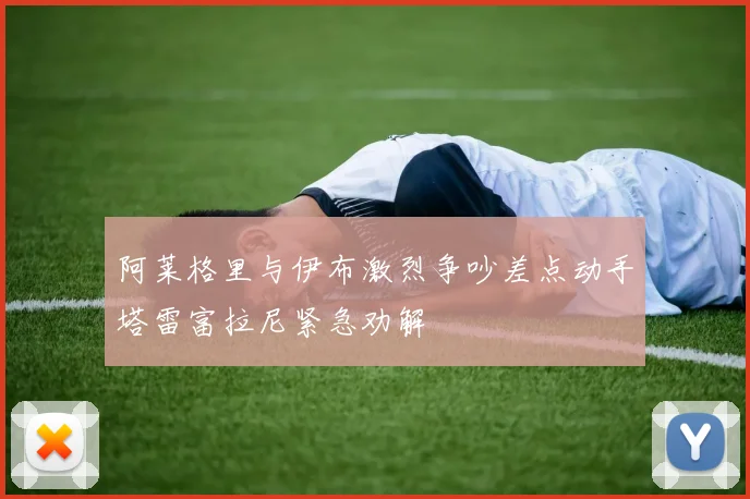 阿莱格里与伊布激烈争吵差点动手塔雷富拉尼紧急劝解